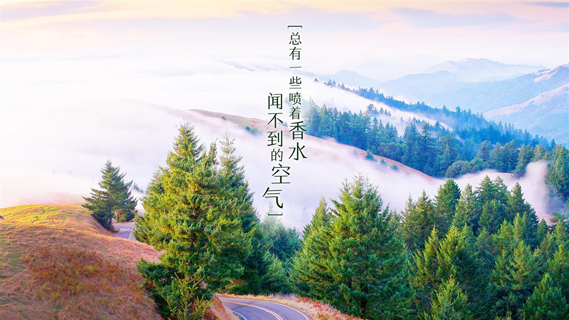 智能农业股票代码有哪些呢图片(智能农业淘股吧)